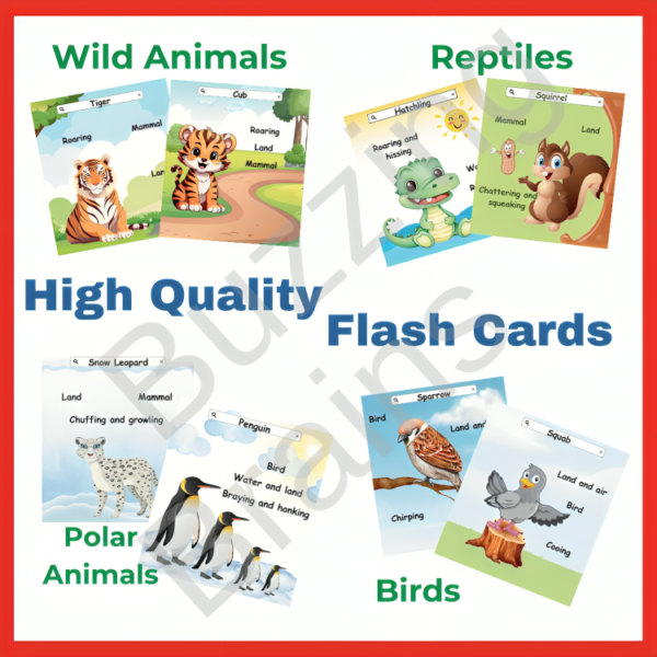 Animals -1 Flashcard- 52 Animals & Babies - Image 2