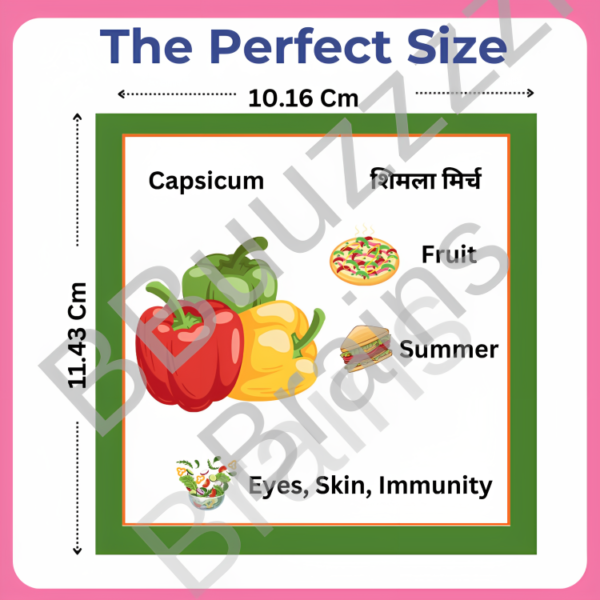 Vegetable Flashcard- 25 cards - know seasons and benefits of Vegetables. - Image 3