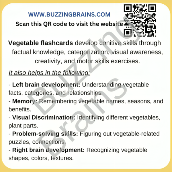 Vegetable Flashcard- 25 cards - know seasons and benefits of Vegetables. - Image 4